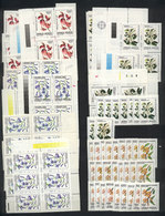 ARGENTINA: FLOWERS ISSUE: Stock In Stockbook, Including Many Stamps And Blocks Of 4 Of The Different Values, Very Fine G - Lots & Serien