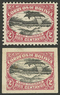 BOLIVIA: Sc.113c + 113d, 1916/7 2c. Boat On Titicaca Lake With Variety CENTER INVERTED, Perforated And Imperforate, Mint - Bolivia