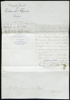 PHILIPPINES: TOBACCO: Designation Of Joaquín Del Rayo In 1902 As Interm Accountant Of The General Warehouses Of Lalloc O - Historische Documenten