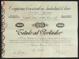 URUGUAY: Certificate For 10 Shares Of The Year 1919: Railway Company Compañía Ferrocarrilera E Industrial Del Sauce, Wit - Sonstige & Ohne Zuordnung