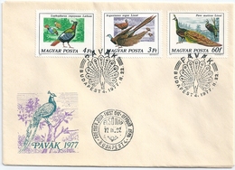 B7141 Hungary FDC Fauna Animal Bird Peacock - Peacocks