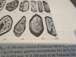 PETROGRAPHIE LE ZIRCON DANS LES ROCHES DE LA SERIE METAMORPHIQUE DE L'ANTICLINAL DE TULLE CORREZE MASSIF CENTRAL) 1979 - Limousin