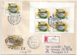 B7170 Hungary FDC Fauna Bird Duck Registered RARE UNIQUE - Canards