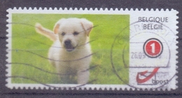 België - Duostamps  - Honden - Zonder Papierresten - Gebraucht