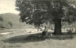 CPA - Belgique - L'Ourthe à Palogne - Ferrieres