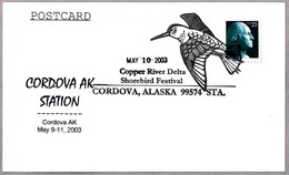 SHOREBIRD FESTIVAL. Copper River Delta. Cordova AK 2003 - Mechanical Postmarks (Advertisement)