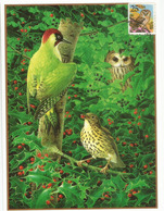 Oiseaux Des Forêts Américaines (Chouette, Pic-vert, Etc)  Carte-maximum USA - Cartes-Maximum (CM)