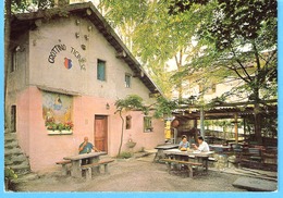 Schweiz-Suisse-Losone-Tessin-Grottino Ticinese-Gerente Perucchini-Cachet De Bettmeralp-1965 - TI Tessin