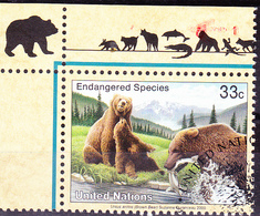 UN New York - Braunbär (Ursus Arctos) (MiNr: 831) 2000 - Gest Used Obl - Gebraucht
