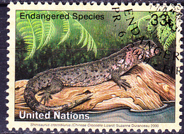 UN New York - Krokodilschwanz-Höckerechse (Shinisaurus Crocodilurus) (MiNr: 833) 2000 - Gest Used Obl - Oblitérés