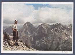 Der Gipfel Ist Erreicht - Blick Von Der Samspitze In Den Lechtaler Alpen - Lechtal