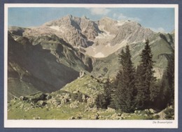 Die Braunarlspitze Im Bregenzer Wald - Bregenzerwaldorte