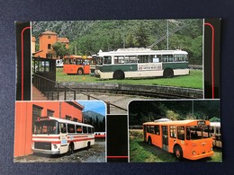 Carte Postale Bus Autocar Saviem Berliet Trolleybus Fiat - Autobús & Autocar