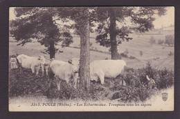 CPA Vaches Vache Circulé Poule Rhône - Vaches