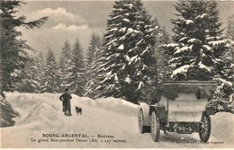 Rare Cpa Bourg-Argental Le Grand Bois Pendant L'hiver Belle Animation Homme Et Son Chien Et Vieux Tacot - Bourg Argental