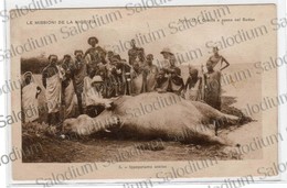 1927 - Le Missioni De La Nigrizia - AFRICA - SUDAN - Ippopotamo - Hippo - Misisoni Verona Caccia Hunting - Soudan