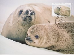 Australian Antarctic Territory 2018 Crabeater Seal,Mother And Pup, Maximum Card - Cartoline Maximum