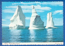 Canada; Icebergs - St. John's