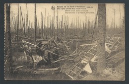 +++ CPA - Ruines De La Forêt D' HOUTHULST - Guerre 1914-18 - Débris D'un Avion Français - Nels  // - Houthulst