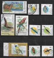 1990-5 Argentina Fauna Loro-elefante Marino-pudu-pajaros 10v. - Oblitérés