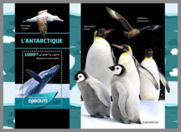 DJIBOUTI 2019 MNH Antarctic Animals Tiere Am Südpol Animaux De Antarctique S/S - OFFICIAL ISSUE - DH2005 - Faune Antarctique