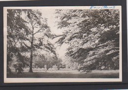 KAPELLEN-PARIFART-BROEDERS VAN DE KRISTELIJKE SCHOLEN-FOTOKAART-BOSSPEL-VERSTUURD-ZIE DE 2 SCANS! ! ! - Kapellen