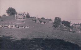 St Aubin NE, Fête De La Vigne (1925) - Saint-Aubin/Sauges