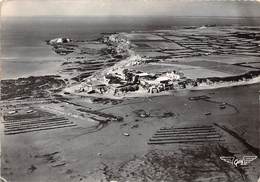 56 .n° 21263 . Penestin Sur Mer .vue Generale Aerienne . Cpsm .10.5 X 15cm . - Pénestin