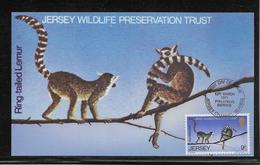 Thème Animaux - Singes - Lémuriens - Jersey Carte Maximum - TB - Apen