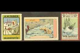 POLAR CINDERELLAS Early 20th Century Three Different Colourful Labels On A Stock Card, Unused No Gum, Small Faults, Scar - Autres & Non Classés