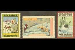 POLAR CINDERELLAS Early 20th Century Three Different Colourful Labels On A Stock Card, Unused No Gum, Small Faults, Scar - Altri & Non Classificati