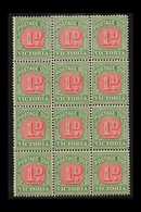 VICTORIA POSTAGE DUE 1895-6 1d Pale Scarlet & Yellow-green, BLOCK OF TWELVE (3x4), SG D12a, Never Hinged Mint, Few Minor - Andere & Zonder Classificatie