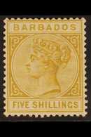 1882-86 5s Bistre Queen, SG 103, Very Fine Mint. For More Images, Please Visit Http://www.sandafayre.com/itemdetails.asp - Barbades (...-1966)