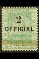 1881 2 On 24c Emerald-green (012), SG 157, Fine Mint For More Images, Please Visit Http://www.sandafayre.com/itemdetails - Britisch-Guayana (...-1966)