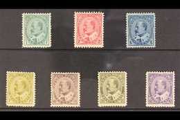 1903-12 KEVII Definitive Set, SG 173/87, Set Of All Values With Vibrant Colours, Very Fine Mint (7 Colours) For More Ima - Altri & Non Classificati