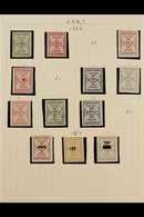 RAILWAY LOCAL STAMPS SILKEBORG KJELLERUO RODKJAERSBRO JERNBANE 1924-1967 Mostly Never Hinged Mint Collection In Hingeles - Autres & Non Classés