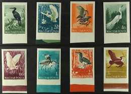 1959 Water Birds Complete Set IMPERF, Michel 1593B/1600B, Never Hinged Mint. (8 Stamps) For More Images, Please Visit Ht - Andere & Zonder Classificatie