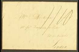 1801 ST MARY'S ENTIRE LETTER TO LONDON RE. A SHIPMENT OF HERRINGS, HADDOCK, ESTATE AND SHIP NEWS (Aug) Lengthy Letter, S - Jamaïque (...-1961)