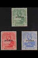1922 KGV Pictorial "printed In One Colour" Set Overprinted "SPECIMEN", SG 89s/91s, Fine Mint (3 Stamps) For More Images, - Isola Di Sant'Elena