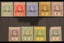 1904 SPECIMENS. KEVII MCA Wmk Optd "Specimen" Set, SG 65s/77s, Very Fine Mint. 5s Green And Carmine (SG 76s) Defective T - St.Lucia (...-1978)