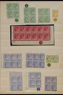 CAPE OF GOOD HOPE. 1902-1904 MINT, NEVER HINGED MINT & USED KEVII Ranges (mostly Mint & Nhm) Presented On A Double Sided - Non Classés