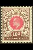 NATAL 1902 10s Deep Rose And Chocolate, Ed VII, SG 141, Very Fine Mint. For More Images, Please Visit Http://www.sandafa - Non Classés