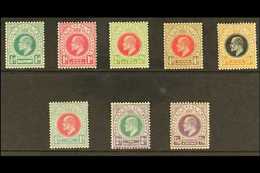 NATAL 1904 Ed VII Set, Wmk MCA, Complete To 2s 6d, SG 146/57, Vf Mint. (8 Stamps) For More Images, Please Visit Http://w - Unclassified