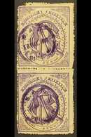 NATAL NATAL GOVERNMENT RAILWAY 1880 1d Violet Used Vertical Pair With Circular Violet Cancels Of 16th May 1911. Faults A - Zonder Classificatie