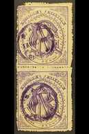 NATAL NATAL GOVERNMENT RAILWAY 1880 1d Violet Used Vertical Pair With Circular Violet Cancels Of 16th May 1911. Faults A - Ohne Zuordnung