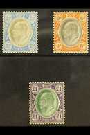 TRANSVAAL 1904 - 09 2½d, 6d And £1 On Chalk Paper, SG 253b, 266a, 272a, All Very Fine And Fresh Mint. (3 Stamps) For Mor - Non Classés