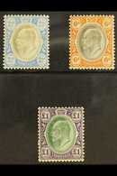 TRANSVAAL 1904 - 09 2½d, 6d And £1 On Chalk Paper, SG 253b, 266a, 272a, All Very Fine And Fresh Mint. (3 Stamps) For Mor - Unclassified