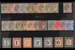 TRANSVAAL 1902-09 KEVII FINE MINT RANGES That Includes The 1902 Set To 2s, 1903 1s, 1904-09 To 1s And 2s.6d, 1905-09 Set - Unclassified