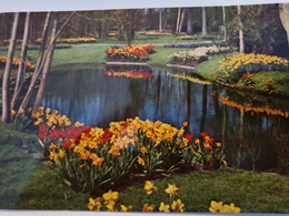 KEUKENHOF 5 CARTES LISSE HOLLAND FLEURS PAYS BAS - Lisse