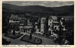 CPA AK Konigstein- Sanatorium Dr. Kohnstamm GERMANY (949000) - Koenigstein